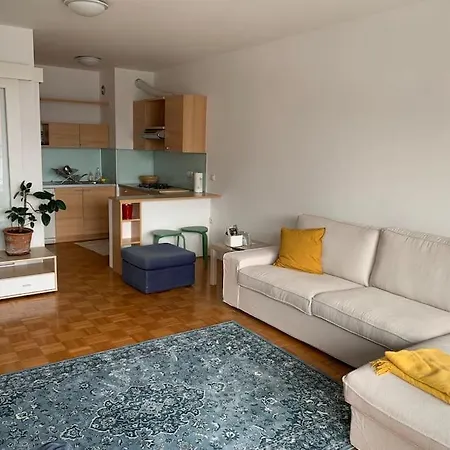Spacious Center Apartment